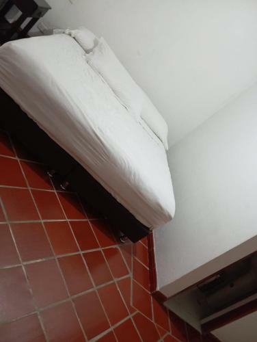 Hotel Ammonite
