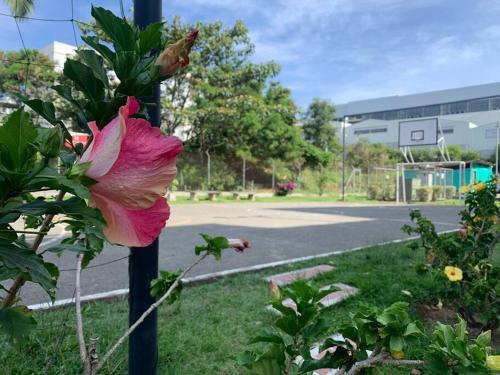 Hermoso Apartamento Con Piscina En Pereira 306