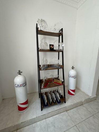 Hostal Calipso Dive And Pet Center