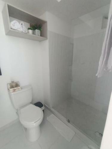 Apartaestudio Armenia Norte