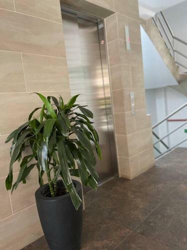 Apartamento Torre Ginebra