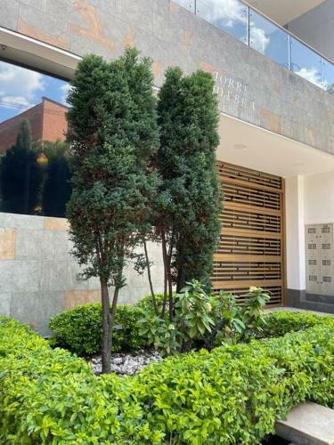 Apartamento Torre Ginebra