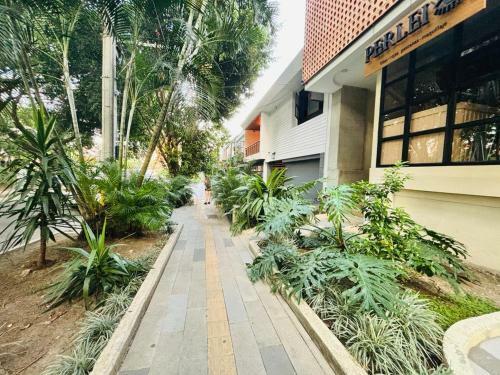 Apartamento Studio At Laureles Heart