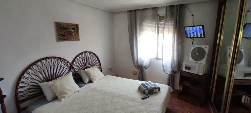 Tourist Room