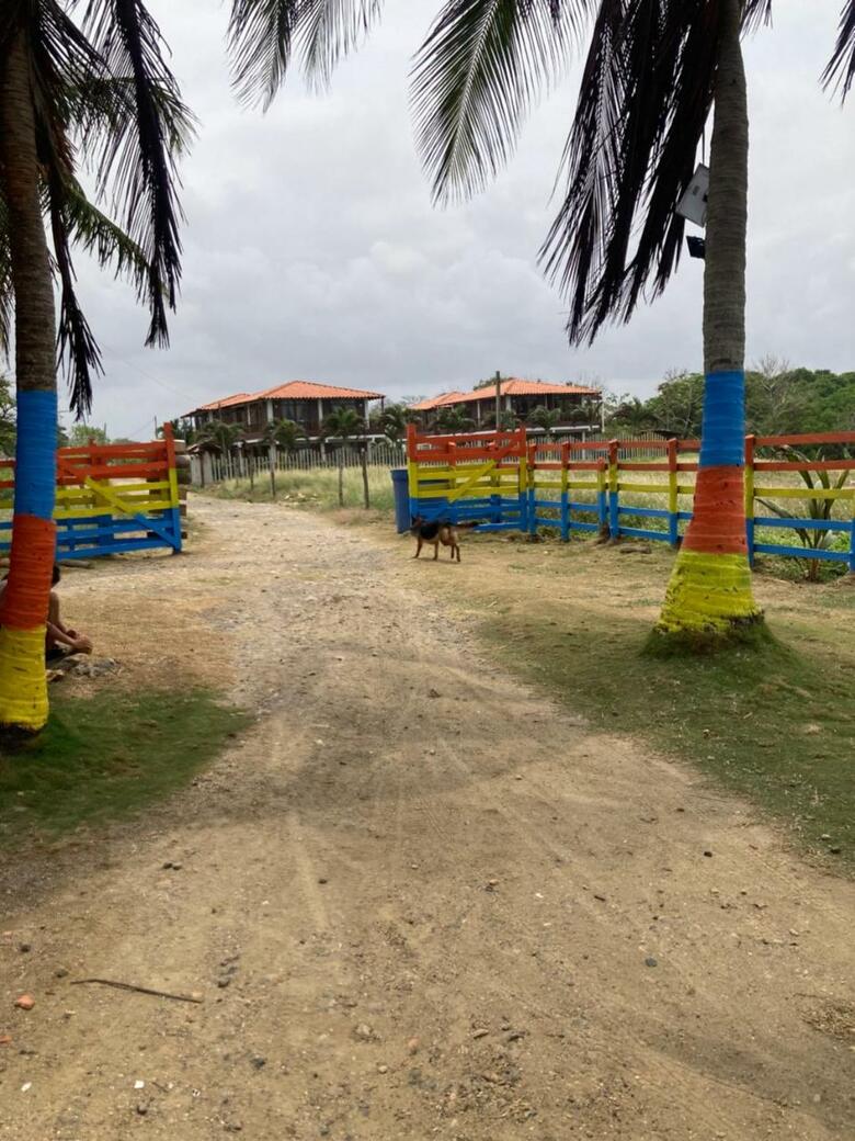 Hotel El Palmar Tours