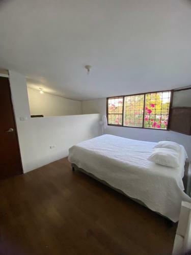 Hostal Vegan Room