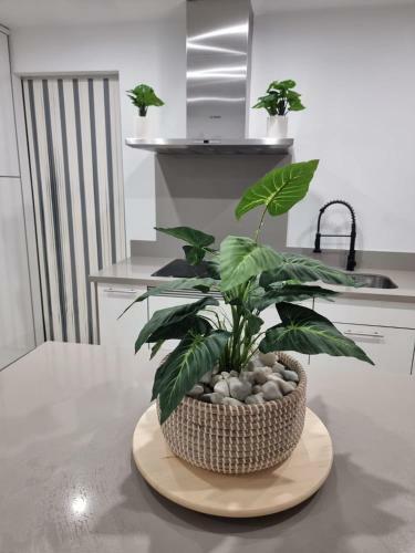Apartamento Balneario Beach