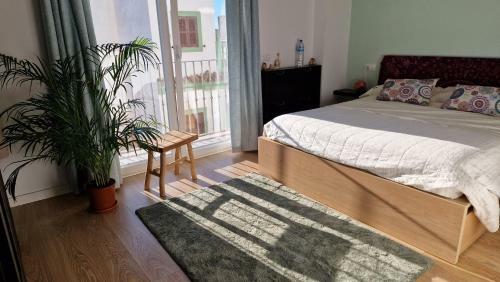 Apartamento Casa W&s