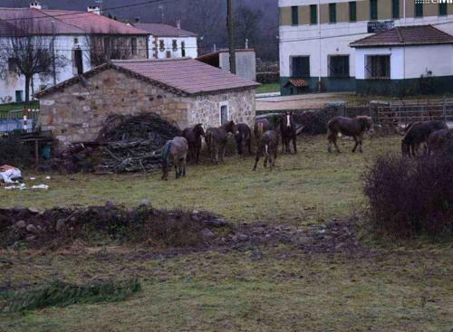 Hostal El Valle Hotel Rural