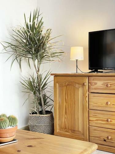 Apartamento La Guanchita - Ocean Studio