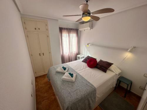 Homely Apartments San Pascual