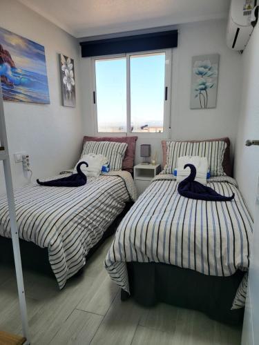 Apartamento Skyline 21