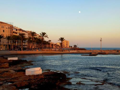 Apartamento Hola Torrevieja