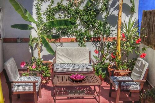 Apartamento Preciosa Casa En El Centro Con Azotea Y Patio