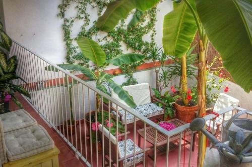 Apartamento Preciosa Casa En El Centro Con Azotea Y Patio