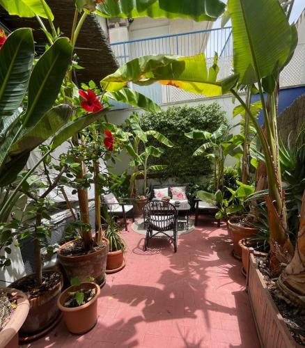 Apartamento Preciosa Casa En El Centro Con Azotea Y Patio