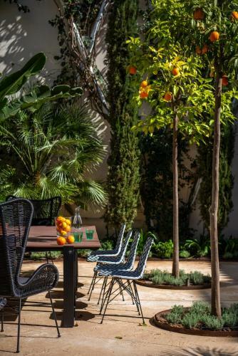 Bed & Breakfast P�jaro Rebelde