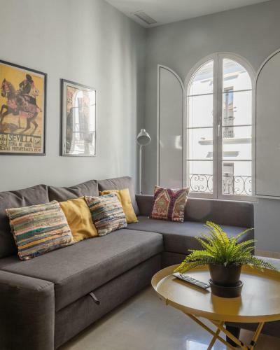 C�ntriko Apartments Conteros