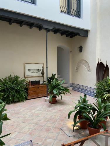 Casa Casco Hist�rico