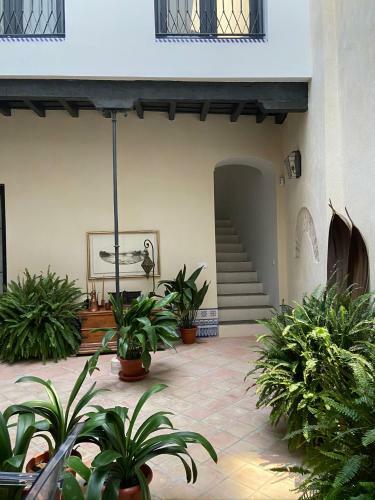 Casa Casco Hist�rico
