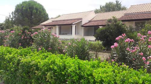Lemontree Apartments