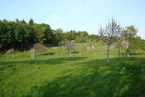 Bed & Breakfast G�te De La Cour