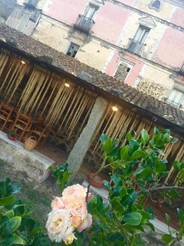 Hotel Omu Axiu
