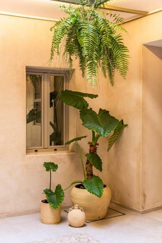 Apartamento Casa 95 Sevilla