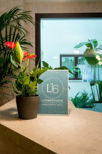 Apartamento Atlumbreras16