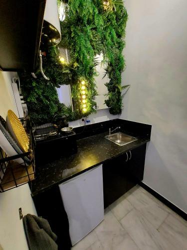 Apartamento Mini Estudio Alameda De Hercules