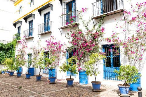 Apartamento Tourist House Santa Cruz
