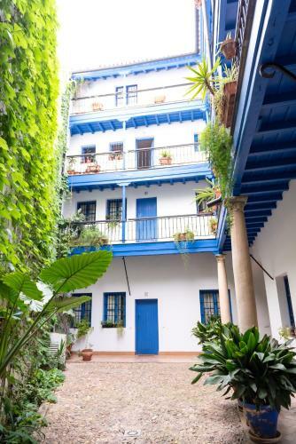 Apartamento Tourist House Santa Cruz