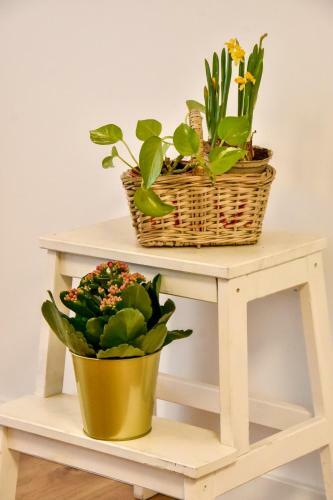 Apartamento Your Home In Seville