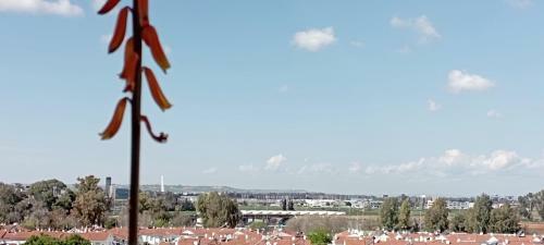 Apartamento Fibes Y Congresos