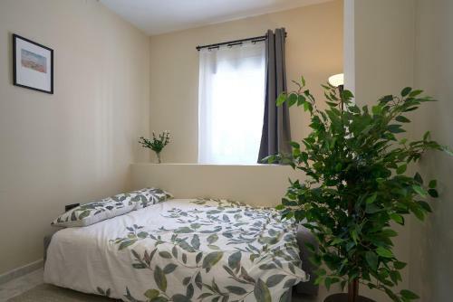 Apartamentos Tejares De Triana 16b
