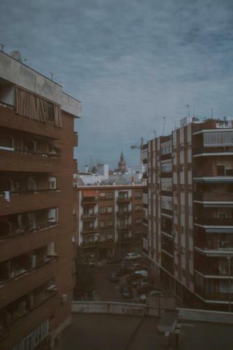 Apartamento Nice And Cozy- 1bd 1bth- Triana