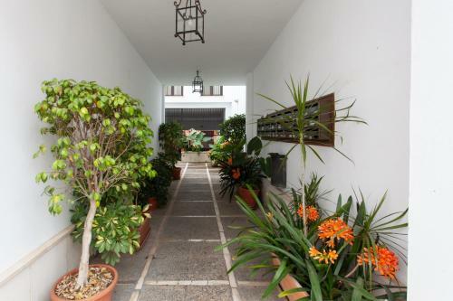 Pikis Apartment Center 1
