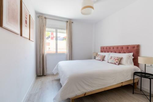 Apartamento Terraza Catedral Olehousing