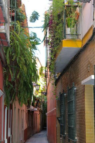 Apartamento Green Street