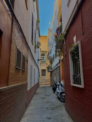 Beautiful Apartment In Historic City Center