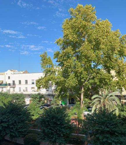 Acogedor Apartamento En Pleno Coraz�n De Triana