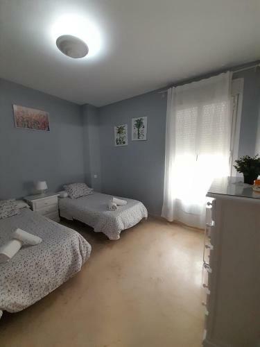Apartamento Entero En Los Jardines De Murillo