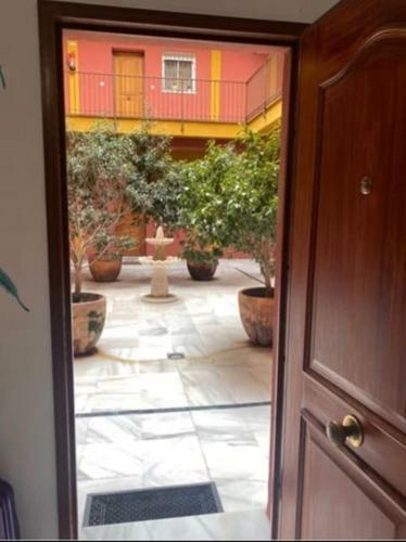 Apartamento Relator