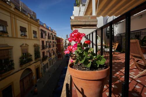 Hostal Casa Pureza