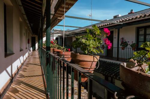 Apartamento Con Encanto En Patio Sevillano (203)