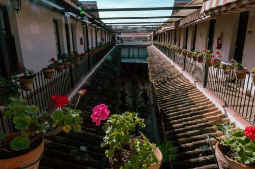 Apartamento Con Encanto En Patio Sevillano (203)