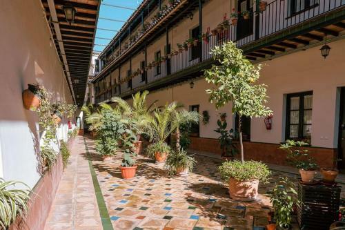 Apartamento Con Encanto En Patio Sevillano (202)