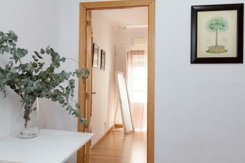 Apartamento Gotoseville Sierpes Suite
