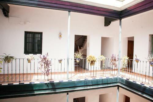 Apartamento Gotoseville Sierpes Suite