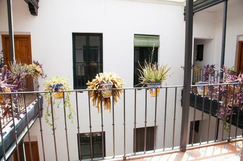 Apartamento Gotoseville Sierpes Suite